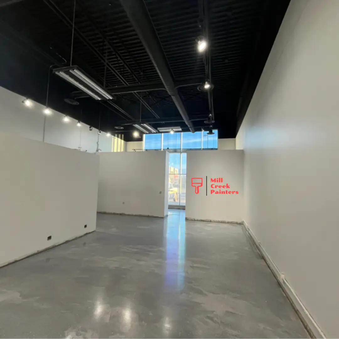 Commercial Building Painting